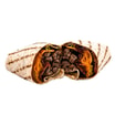 325 Barbecue Cheese Wrap
